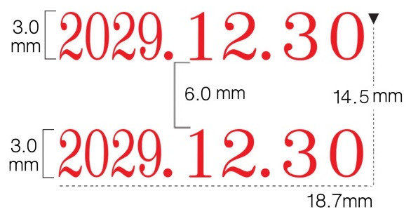 リピスター略西暦５号ペア日付（明朝体・５号）の印面サンプル